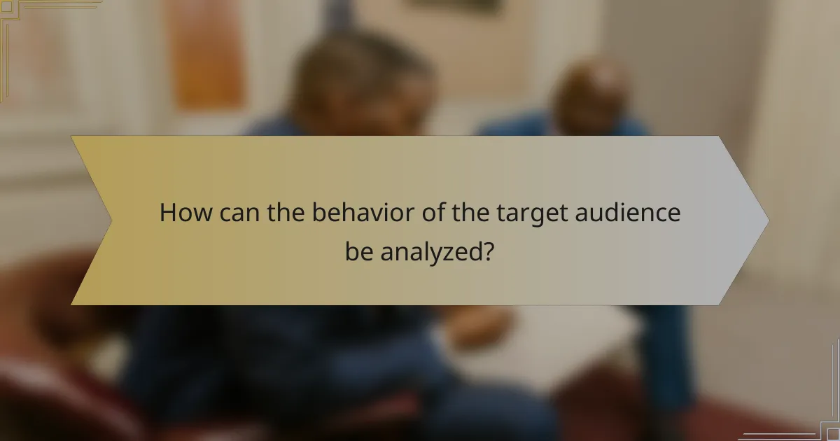 How can the behavior of the target audience be analyzed?