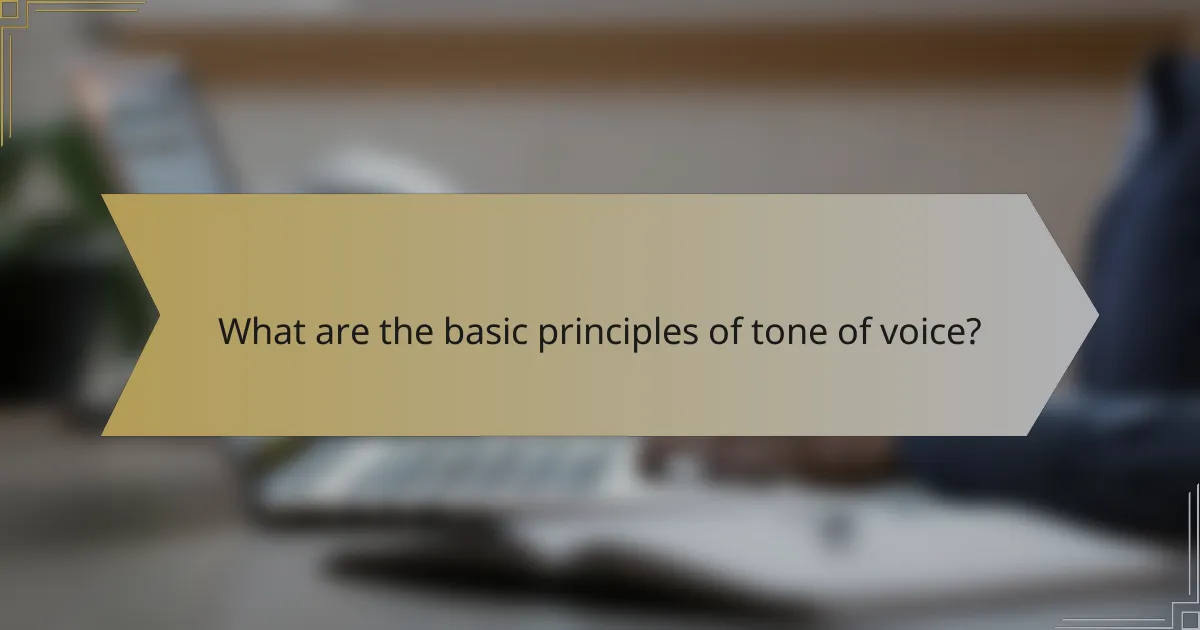 What are the basic principles of tone of voice?