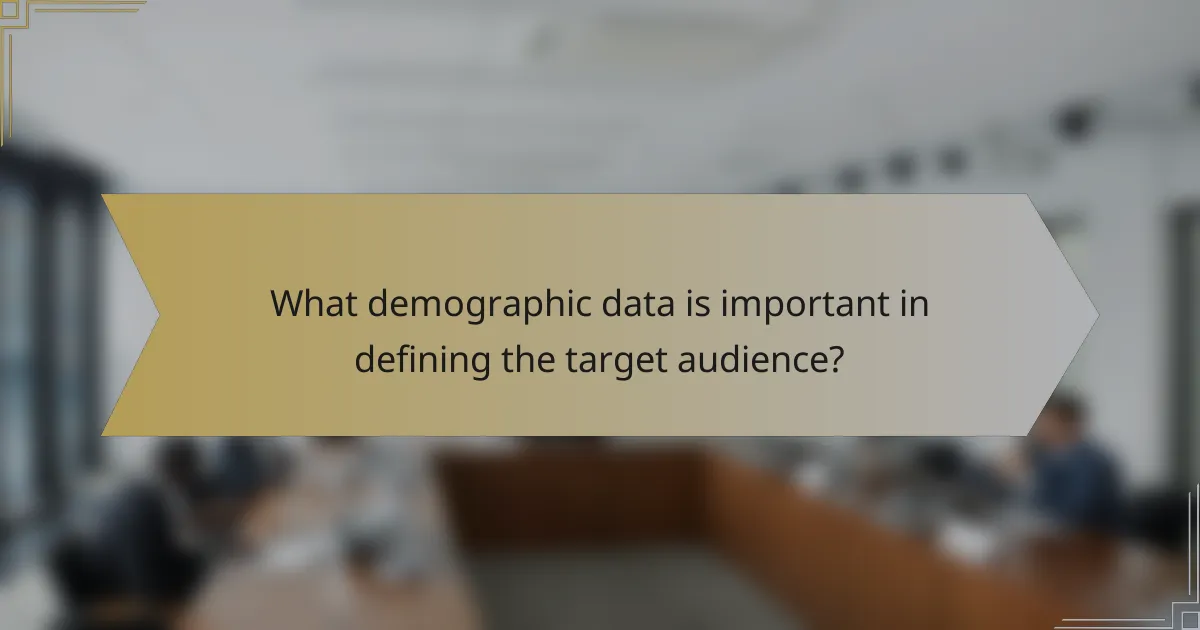 What demographic data is important in defining the target audience?